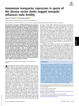 Ammonium Transporter Expression in Sperm of the Disease Vector Aedes Aegypti Mosquito Influences Male Fertility