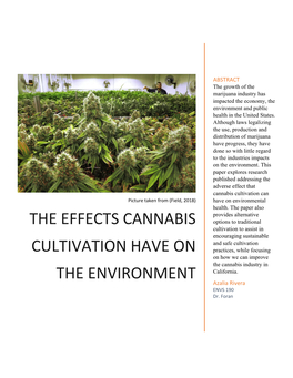 The Effects Cannabis Cultivation Have on the Environment