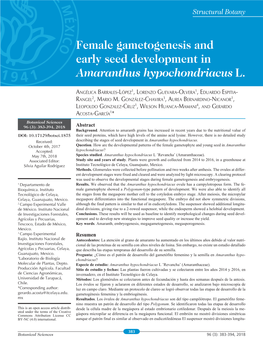 Female Gametogenesis and Early Seed Development in Amaranthus Hypochondriacus L