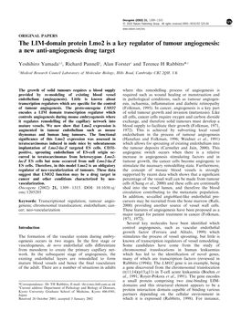 The LIM-Domain Protein Lmo2 Is a Key Regulator of Tumour Angiogenesis: a New Anti-Angiogenesis Drug Target