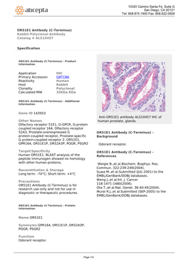 OR51E1 Antibody (C-Terminus) Rabbit Polyclonal Antibody Catalog # ALS10457