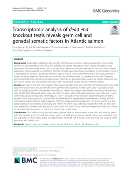 Transcriptomic Analysis of Dead End Knockout Testis Reveals Germ Cell