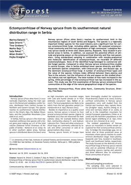 (2019). Ectomycorrhizae of Norway Spruce from Its Southernmost Natural Distribution Range in Serbia