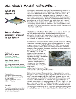 All About Maine Alewives