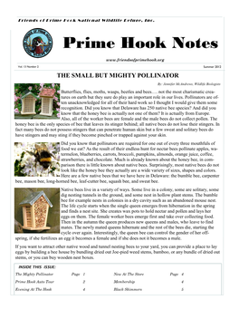 Prime Hook Notes