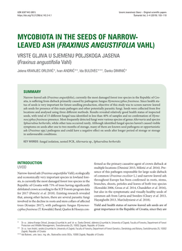 MYCOBIOTA in the SEEDS of NARROW- LEAVED ASH (FRAXINUS ANGUSTIFOLIA VAHL) VRSTE GLJIVA U SJEMENU POLJSKOGA JASENA (Fraxinus Angustifolia Vahl)
