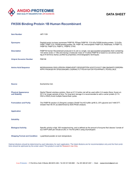 Protein 1B Human Recombinant