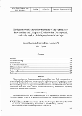 Earliest Known (Campanian) Members of the Vermetidae, Provannidae and Litiopidae (Cerithioidea, Gastropoda), and a Discussion of Their Possible Relationships