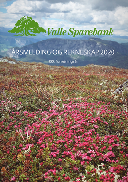 Årsmelding Og Rekneskap 2020