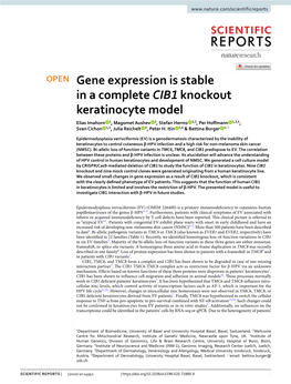 Gene Expression Is Stable in a Complete CIB1 Knockout