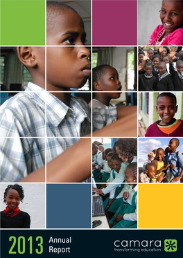 2013 Annual Report