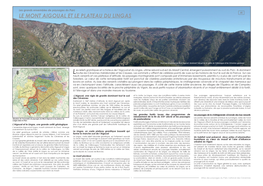 Le Mont Aigoual Et Le Plateau Du Lingas