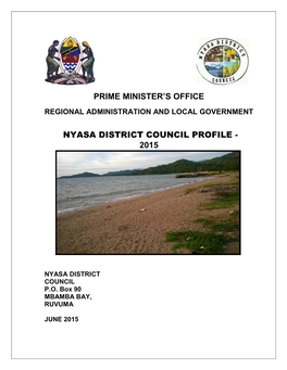 Prime Minister's Office Nyasa District Council Profile