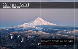 Oregon Wild 2012 Photo Contest Winners Into a Literal Campsite Complete with a Fire Pit