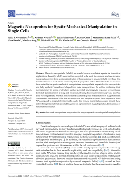 Magnetic Nanoprobes for Spatio-Mechanical Manipulation in Single Cells