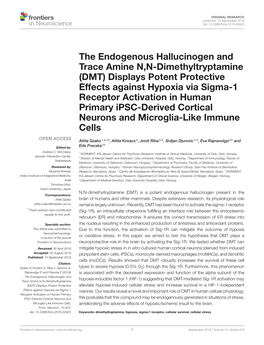 DMT) Displays Potent Protective Effects Against Hypoxia Via Sigma-1 Receptor Activation in Human Primary Ipsc-Derived Cortical Neurons and Microglia-Like Immune Cells