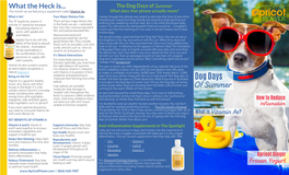 Dog Days of Summer This Month We Are Featuring a Supplement Called Vitamin Ae