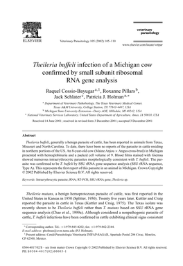 Theileria Buffeli Infection of a Michigan Cow Confirmed by Small Subunit