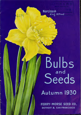 Bulbs and Seeds : Autumn 1930