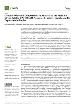 (CCR4-Associated Factor 1) Family and Its Expression in Poplar