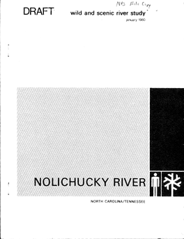Nolichucky River
