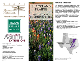 Blackland Prairie