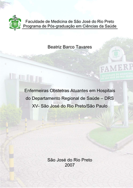 Beatriz Barco Tavares Enfermeiras Obstetras Atuantes Em Hospitais Do