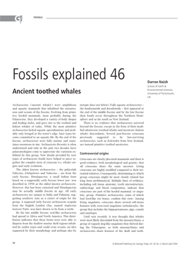 Fossils Explained 46 Darren Naish School of Earth & Environmental Sciences, Ancient Toothed Whales University of Portsmouth, UK