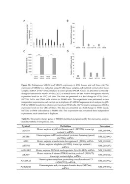 Figure S1. Endogenous MIR45