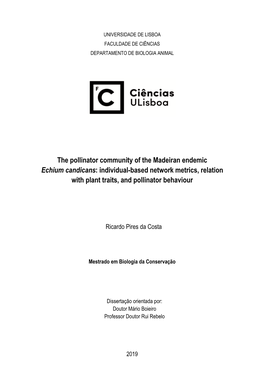 The Pollinator Community of the Madeiran Endemic Echium Candicans: Individual-Based Network Metrics, Relation with Plant Traits, and Pollinator Behaviour