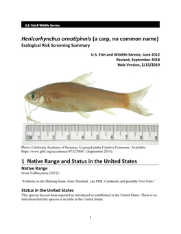 Henicorhynchus Ornatipinnis (A Carp, No Common Name) Ecological Risk Screening Summary