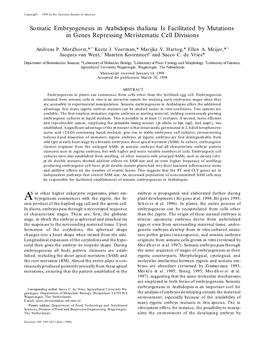 Somatic Embryogenesis in Arabidopsis Thaliana Is Facilitated by Mutations in Genes Repressing Meristematic Cell Divisions