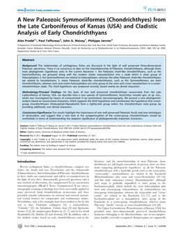 And Cladistic Analysis of Early Chondrichthyans