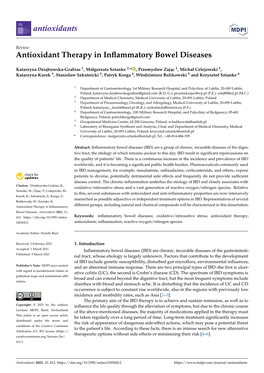 Antioxidant Therapy in Inflammatory Bowel Diseases