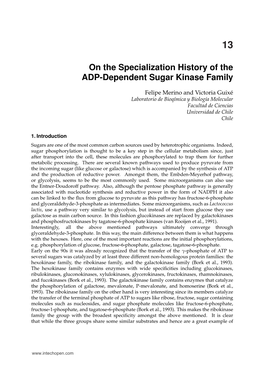 On the Specialization History of the ADP-Dependent Sugar Kinase Family