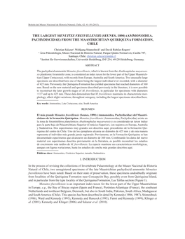 The Largest Menuites Fresvillensis (Seunes, 1890) (Ammonoidea, Pachydiscidae) from the Maastrichtian Quiriquina Formation, Chile