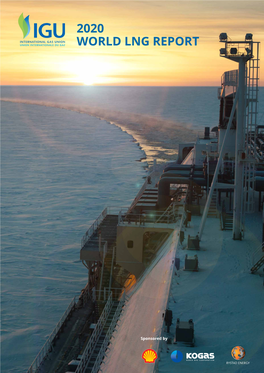 2020 World Lng Report