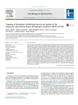 Trapping of Phosphate Solubilizing Bacteria on Hyphae of the Arbuscular Mycorrhizal Fungus Rhizophagus Irregularis DAOM 197198