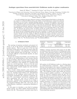 Analogue Spacetimes from Nonrelativistic Goldstone Modes in Spinor Condensates