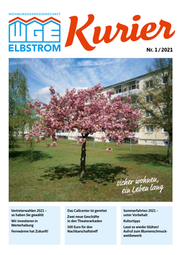 Elbstrom-Kurier 2021-1.Indd