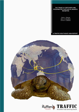 The Trade in Tortoises and Freshwater Turtles in Jakarta, Indonesia Revisited