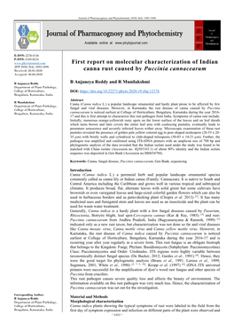 First Report on Molecular Characterization of Indian Canna