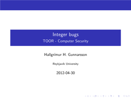 Integer Bugs TOOR - Computer Security