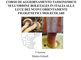 Corso Di Aggiornamento Tassonomico Sull'ordine