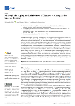 Microglia in Aging and Alzheimer's Disease: a Comparative Species