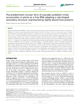 The Predominant Circular Form of Avocado Sunblotch Viroid Accumulates in Planta As a Free RNA Adopting a Rod-Shaped Secondary St