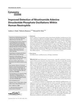 Improved Detection of Nicotinamide Adenine Dinucleotide Phosphate Oscillations Within Human Neutrophils