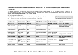 Some of the Most Important Invertebrates in the Lye Valley SSSI