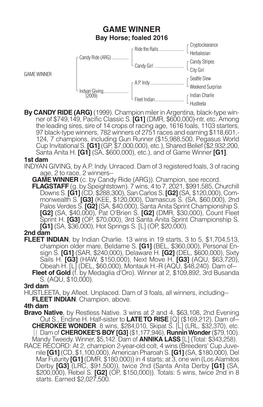 GAME WINNER Bay Horse; Foaled 2016 Cryptoclearance Ride the Rails