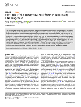 Novel Role of the Dietary Flavonoid Fisetin in Suppressing Rrna